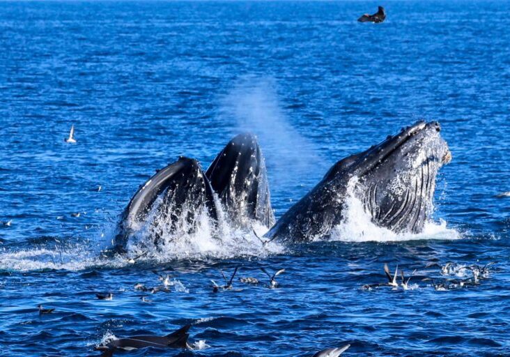 597596025_1327458969426552_3189728505746739614_n