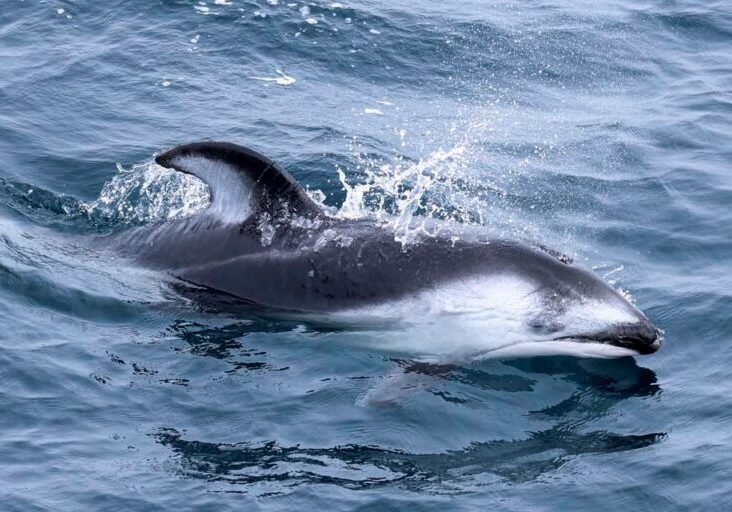 598667697_1332904978881951_5566987265047534047_n