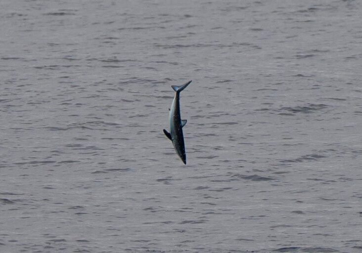 599823638_1336902801815502_5046024611895662108_n