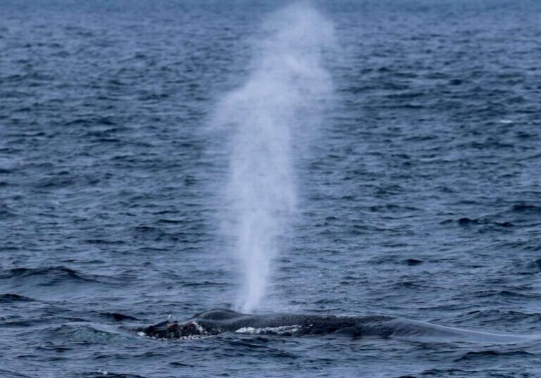 600253386_1332140832291699_298733877033632960_n