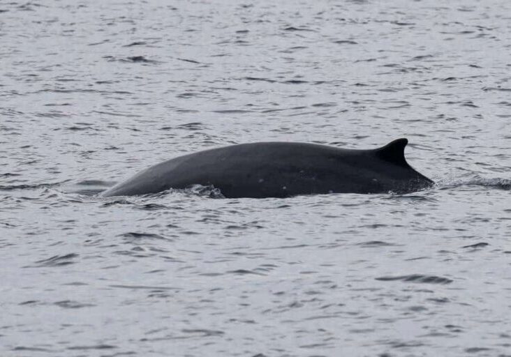 605723103_1344419404397175_2298334529447824648_n