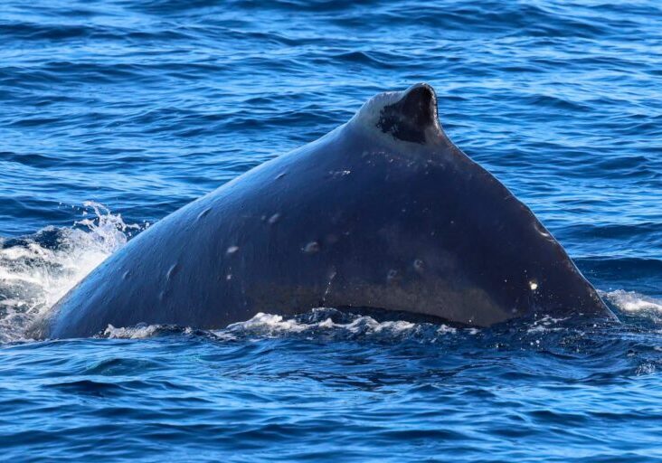 606461368_1342307541275028_4008725718432210337_n