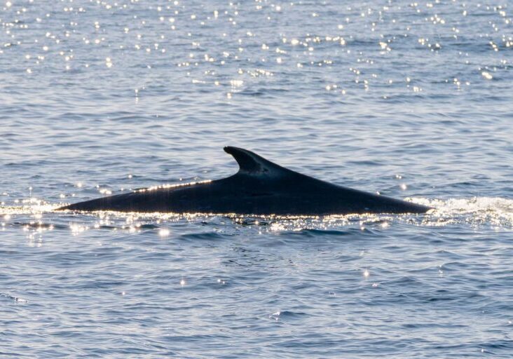 608428071_1343742787798170_717514818838064339_n