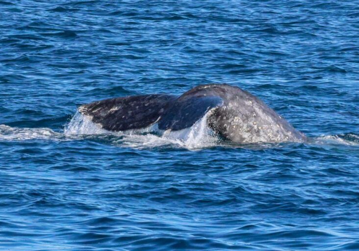 615347857_1358410152998100_6182229294647925398_n