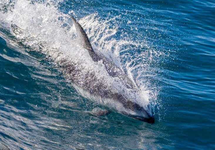 615824920_1355279273311188_4562271065234831472_n