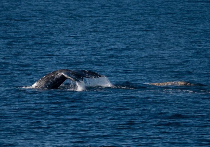 618043911_1361392042699911_2099671992377619783_n