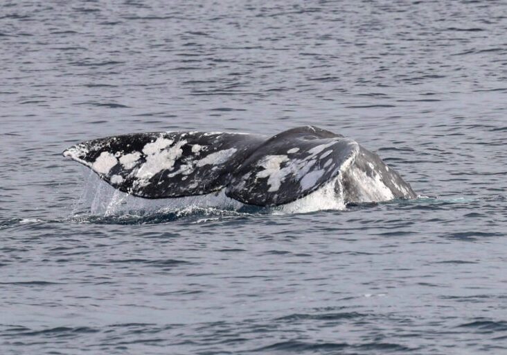 618047600_1362223962616719_1061656682340864406_n