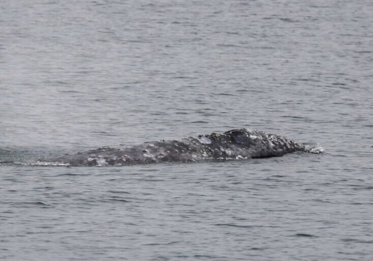 618072338_1363101819195600_1400776667140526200_n