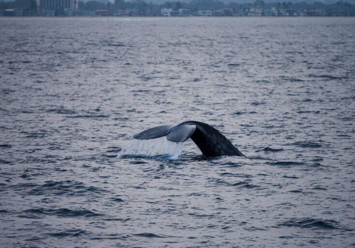 618268490_1364062082432907_3717626658600246513_n