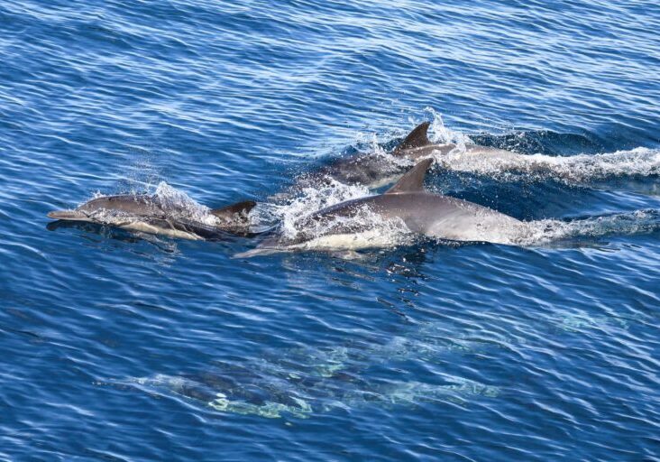 618793224_1360680909437691_3949585383966081866_n