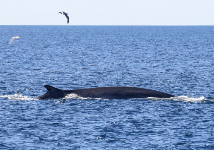 619418694_1367533298752452_2281074579041634075_n