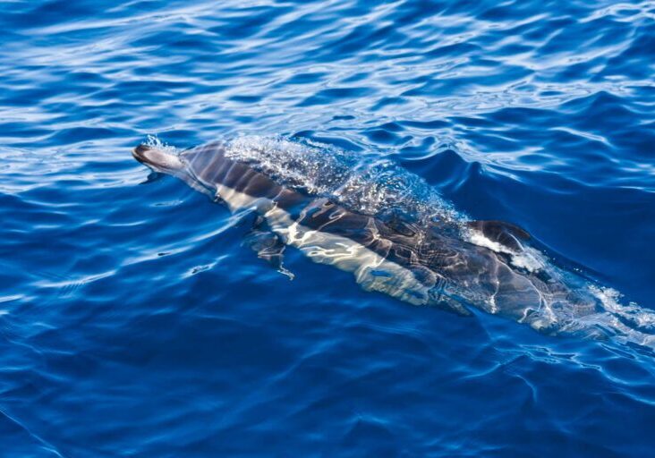 623837042_1370458008459981_972499179180475635_n