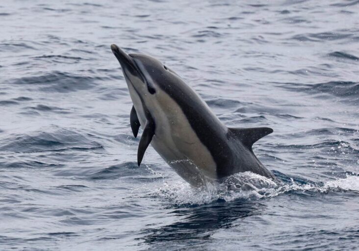 657388673_1424005113105270_5778598642225931501_n