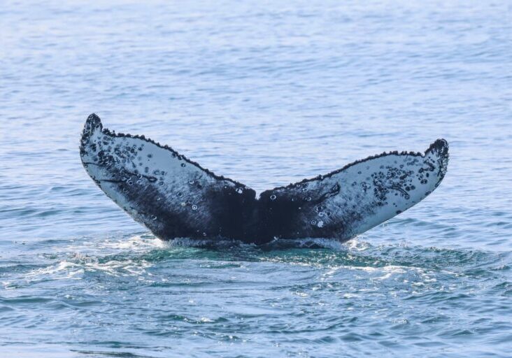 658815269_1420408403464941_7164512426821196230_n