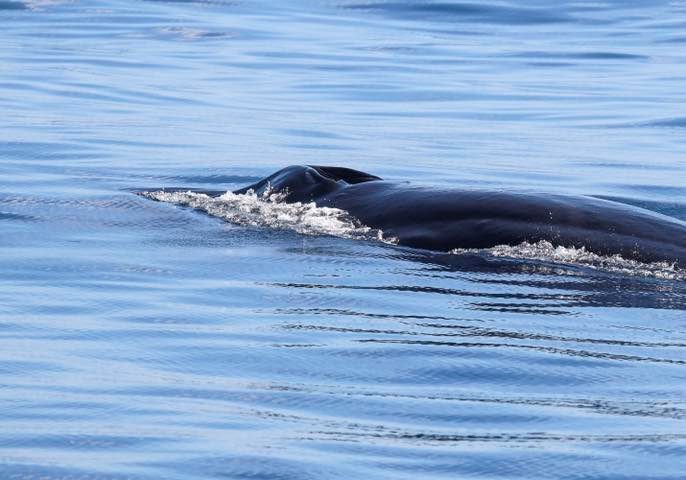 661456237_1427270006112114_7776881646191217389_n