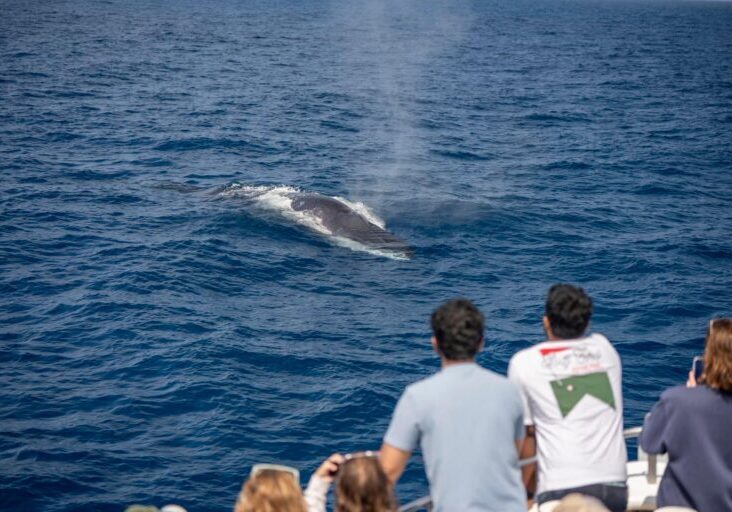 662566170_1422381336600981_6411807885412679424_n