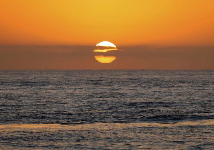 San Diego Sunset Whale Watch