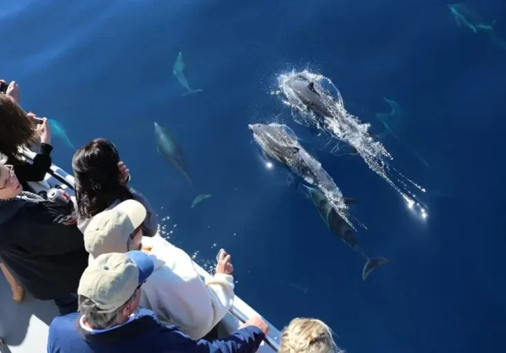 An Unforgettable Adventure