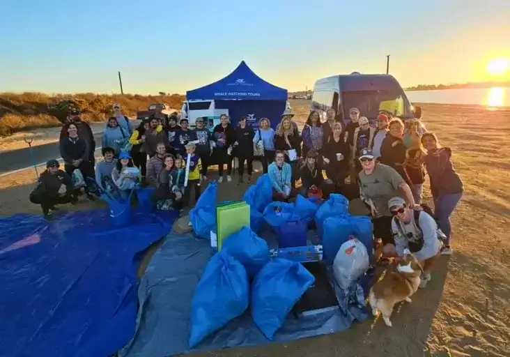 Sustainable whale watching San Diego